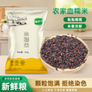 2025新米东北血糯米正宗5斤黑糯米团专用五谷杂粮江米粘米粽子