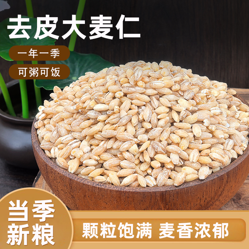 东北大麦米农家脱壳生麦粒新米五谷杂粮去皮大麦仁米粗粮非小麦