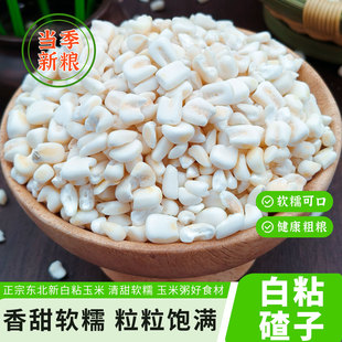 东北白玉米碴子2025年新玉米渣玉米糁碎粒大碴子煲粥杂粮5斤