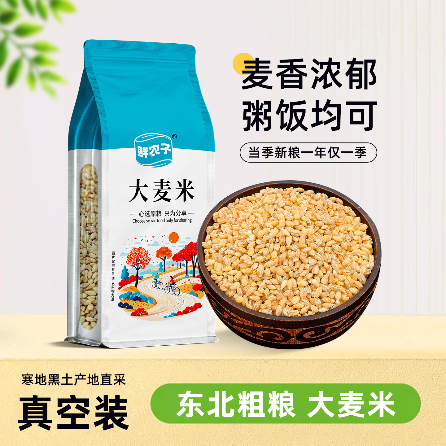 东北去皮大麦仁真空装新鲜脱皮大麦米煮粥杂粮饭五谷杂粮粗粮新货图片