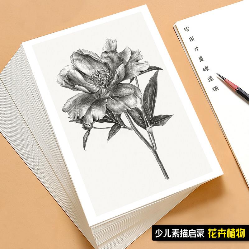 少儿素描启蒙花卉步骤版临摹卡 初学者范本实用培训原创素材32张