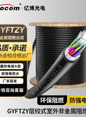 亿博（Ebocom）GYFTZY光缆24芯非金属阻燃光缆 电力导引光缆穿管用 国标单模室外光缆层绞式通信光缆光纤线