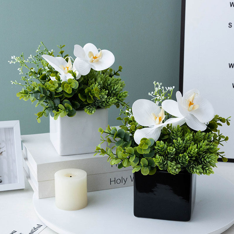 仿真假蝴蝶兰尤加利叶新客厅餐桌茶几绿植装饰艺,家居饰品,仿真花/假花,淘宝优惠券,粉丝福利购,淘宝优惠卷