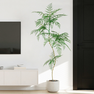 栖茉 侘寂风仿真绿植仿生蓝楹假室内客厅装饰