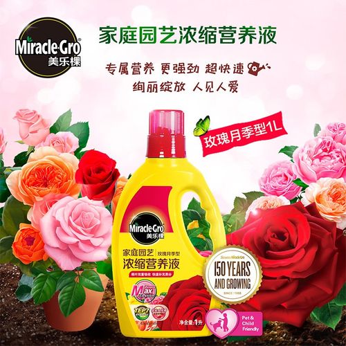 美乐棵月季玫瑰花苗营养液蔷薇花苗爬藤 四季肥料复合肥