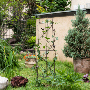 铁艺爬藤架栅栏架支架攀爬支撑杆月季铁线莲蔷薇玫瑰固定架