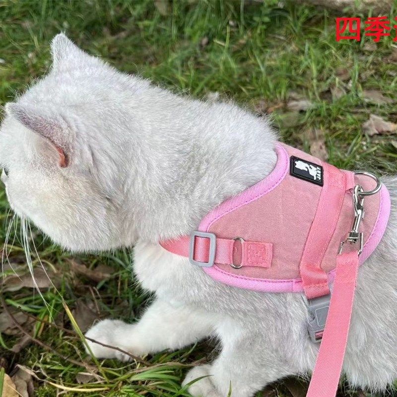 幼猫牵引绳超小号猫咪专用0-3斤防挣脱奶狗泰迪茶杯犬幼犬牵引绳,宠物/宠物食品及用品,猫牵引绳,淘宝优惠券,粉丝福利购,淘宝优惠卷