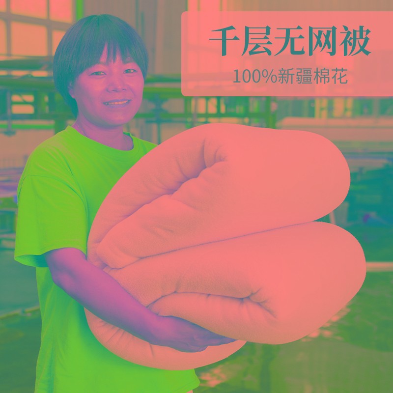 新疆棉被冬被加厚保暖长绒棉花千层无网被子被芯棉胎学生春秋垫被