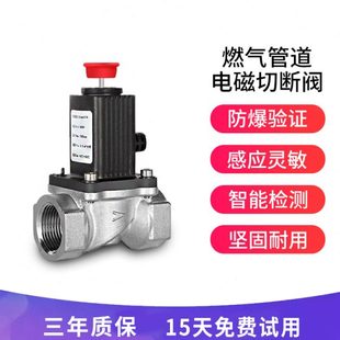 燃气电磁阀自动断气煤气罐钢瓶机械手自闭阀直通管道自动切断阀