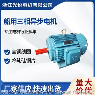 三相异步电机 2船用18.5电机2极机械设备国标全铜线高效低噪