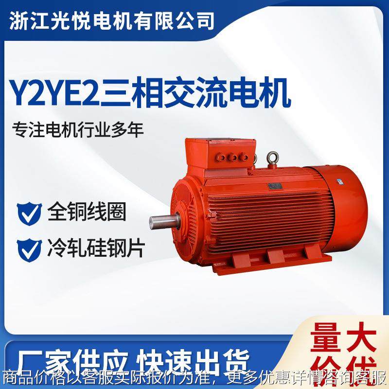 2-3151-8-90国标节能高效大功率交流电机三相异步电动机