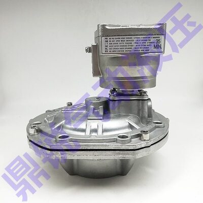 ZJASCO NFG353.060 C113928 R143297 3英寸 DN76淹没防爆脉冲阀