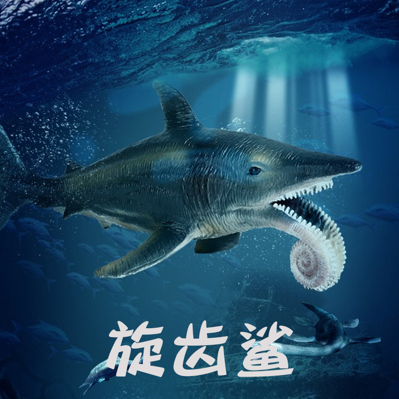 儿童海洋恐龙玩物远古生具旋齿鲨仿真/动物玩偶