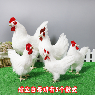 仿真母鸡a动物模型站立市鸡羽毛玩具公装 工艺品鸡摆件超母仔饰道