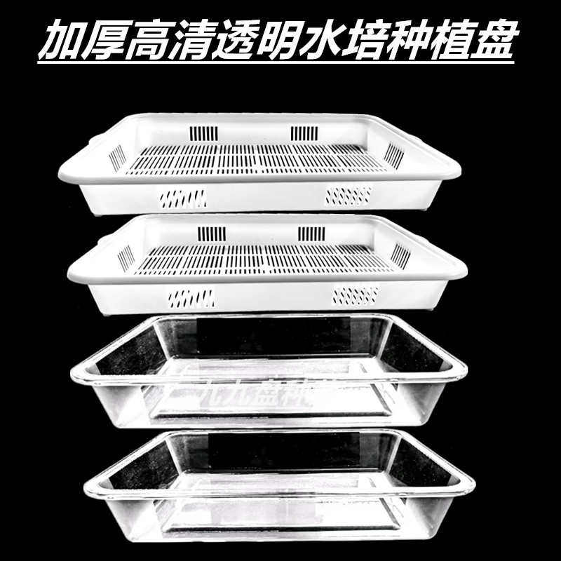 新款透明水培种植盘芽苗菜种植盆儿童观察看得见根生长水培箱豆芽,鲜花速递/花卉仿真/绿植园艺,育苗盘/营养钵,淘宝优惠券,粉丝福利购,淘宝优惠卷