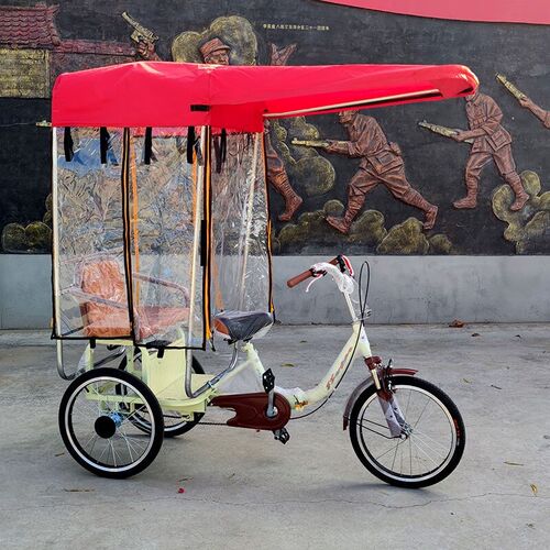 老年三轮车保暖防雨雨棚人力车老人脚踏双人车脚蹬自行车成人三轮