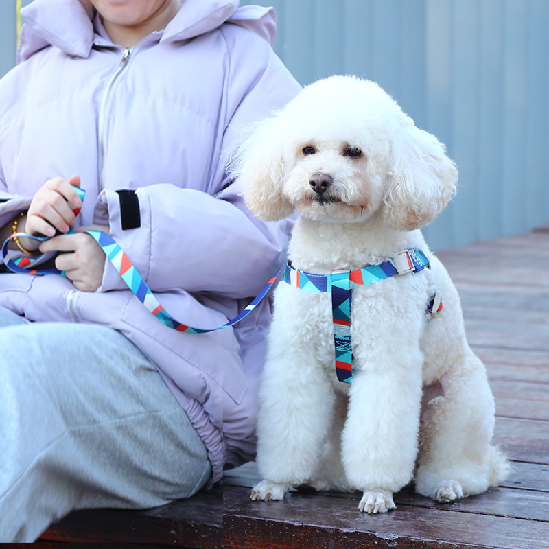 狗狗牵引绳狗绳子狗链子泰迪小中大型犬防挣脱背心式印花胸抱婴袋
