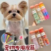 小狗狗皮筋发圈西施头绳宠物头饰橡皮筋约克夏专用辫子发饰用品不