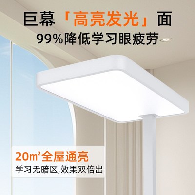 童视界星之光大路灯全光谱儿童护眼台灯学习防近视教室落地灯