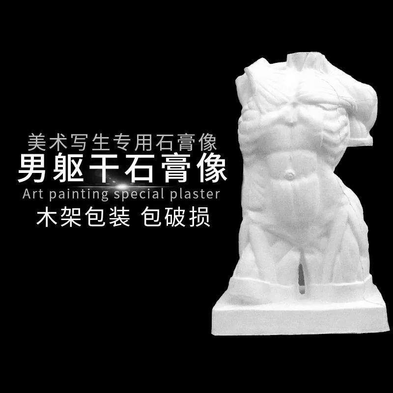 石膏像男躯干解剖 石膏人头像 美术教具雕塑摆件S素描模型美术用