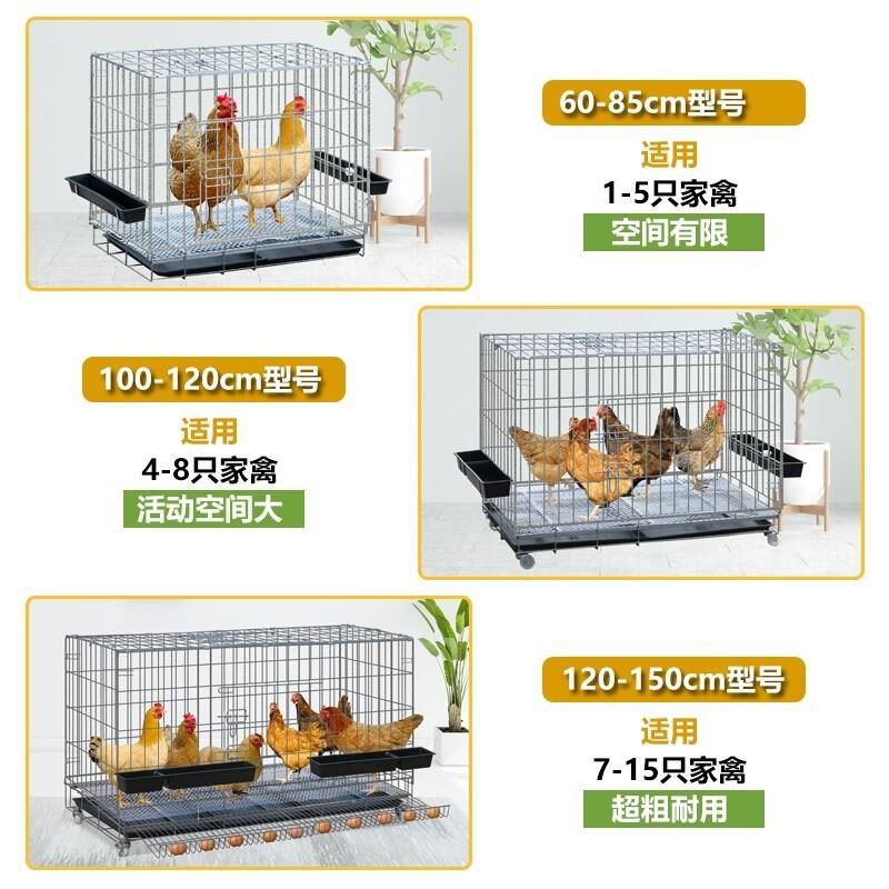 养鸡专用笼鸡笼子养殖笼田鸡笼家用大号养鸡铁鸡舍自动下蛋鸡笼网
