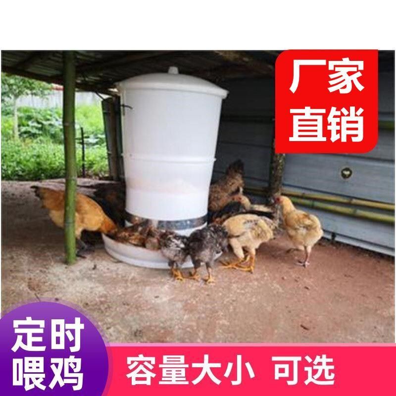 鸡桶养鸡鸭自动喂鸡喂食器全自动投料机鸽子定时下料器家用投食电