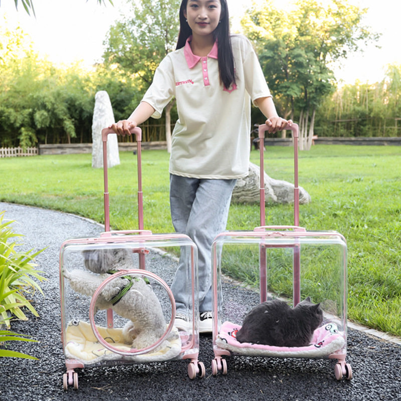 宠物拉杆箱大型猫咪狗狗外出包太空舱推车大号全透明透气航空箱包