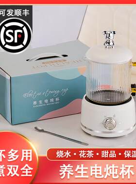 小电炖杯迷你小型多功能养生杯单人办公室M煮花茶壶保温电热水杯