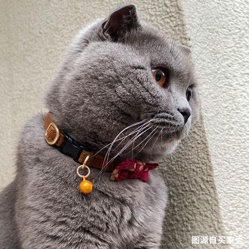 猫咪用品猫铃铛项圈脖圈宠物颈圈脖子猫颈饰品可爱蝴蝶结挂饰新年