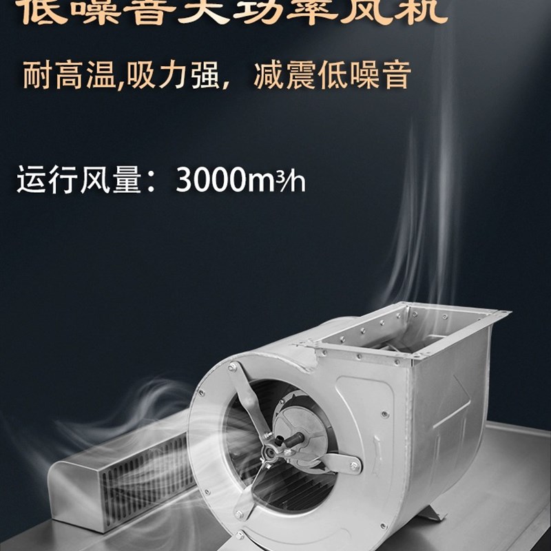 新施兰日式烧鸟炉商用耐高温碳烤炉下排烟过滤净化串烧炉下排风