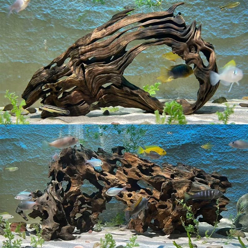 虾木多孔沉木鱼缸造景龙骨木虾窝繁殖躲避屋镂Q空观赏摆件天然装