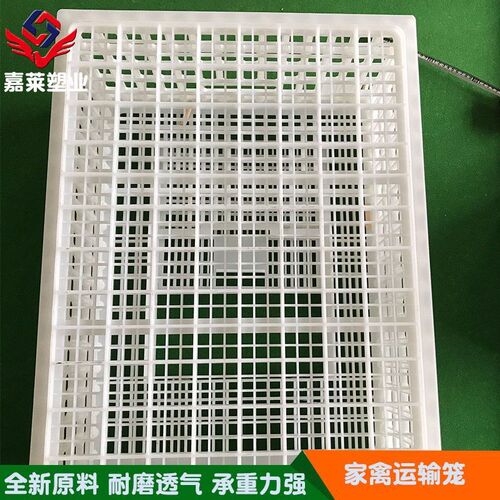 新品可拆卸鸡鸭鹅运输箱 家禽用镂空透气周转笼 自锁式双开门鸡笼