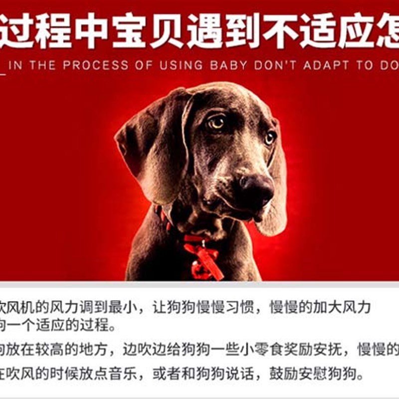 宠物吹风机大功率超静音狗狗电吹风金毛泰迪猫咪大型犬吹水机