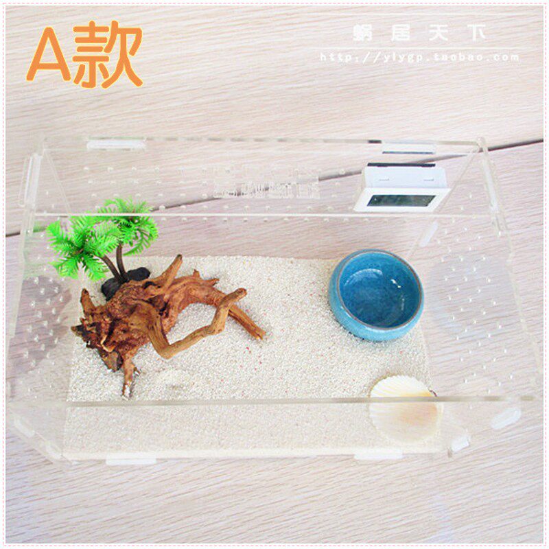 【最基础套餐】陆地生淡水寄居蟹宠物用品套装 缸+用品+造景