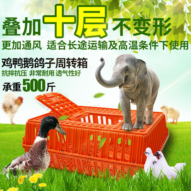 鸡笼周转箱成小鸡鸭鹅鸽r兔运输笼鸡用周转筐塑料长方形鸡框运输