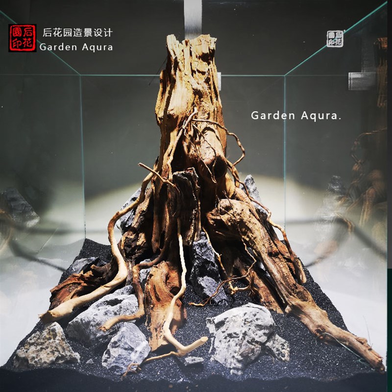 生命之树 沉木造景定制  沉木 草缸 造景沉木 草缸 后花园水族