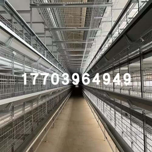 大牧人鸡笼设备大牧人层叠蛋鸡笼大牧人立式立体鸡笼育雏笼小鸡笼