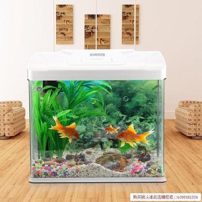 鱼缸免换水懒人生态客厅小型家用整体水族箱落地隔断柜休闲家居