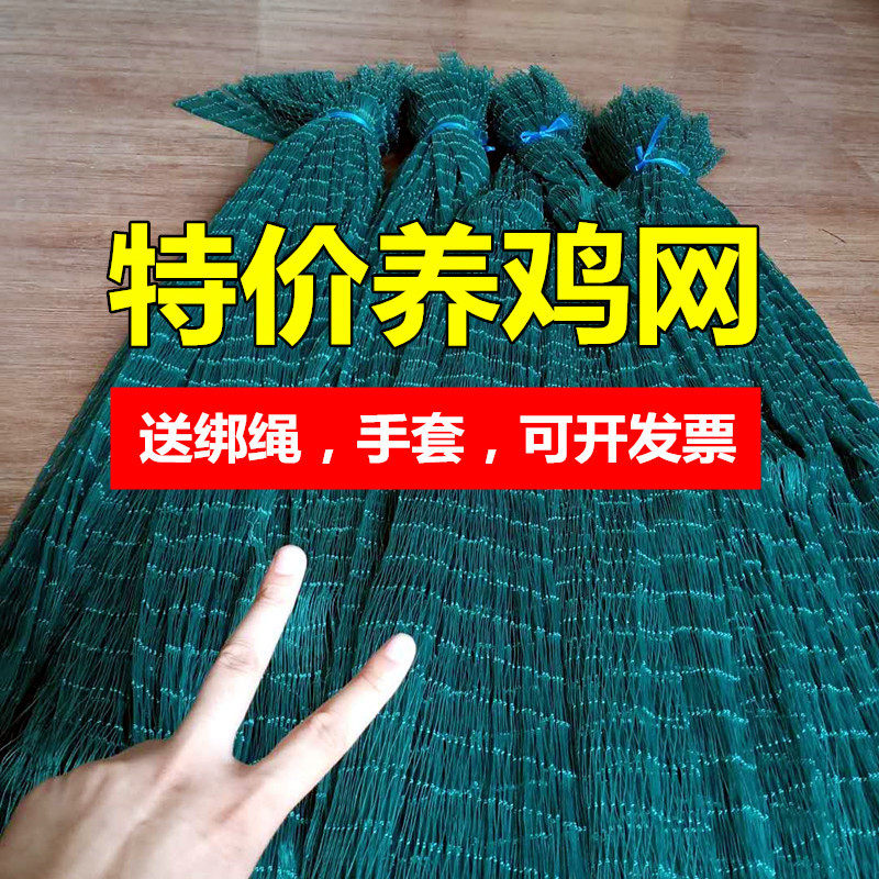养鸡围网b养鸡顶网家禽养殖网养鸡网拦鸡网挡鸡网养鸡围栏网围鸡