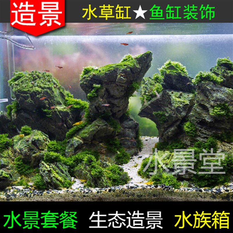 青龙石套餐小鱼缸里的水草植物假草造景水草打肥器
