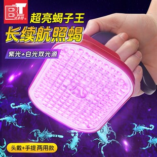 波来特蝎子灯头戴手提两用强光手电筒大功率型紫光灯照蝎子专用灯