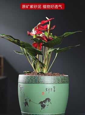 精品紫砂花盆网红款花卉绿植盆景兰花盆J君子兰盆阳台仿古室内桌