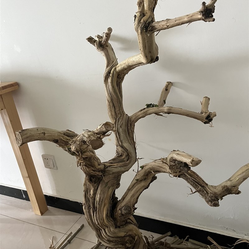 研木院干树造景树艺m术去皮枯木树造型树木杈枯树装饰树枝干树枝