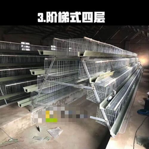 加粗蛋鸡养殖笼三层四层阶梯式鸡笼家用4位镀锌鸡笼养殖场用鸡笼