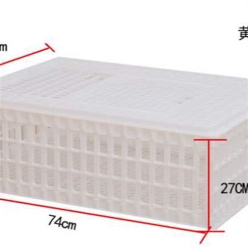 周转箱成加厚塑料特大号鸡鸭运输笼加长鹌鹑鹅笼矮鸽笼鸡笼家用
