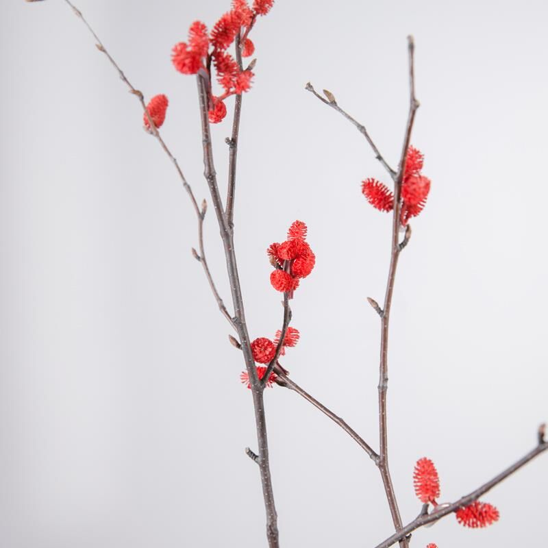 干支花干枝装饰花山捻枝枯树枝装饰干花树枝插花天然家居软装