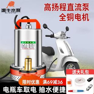 德国进口直流潜水泵12V24V48V60V72V抽水泵农用抽水机灌溉家用