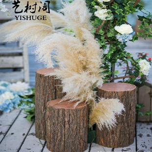 小木桩底座摆件树桩树干原木头小树摄影拍照园艺木柱木墩装饰道具