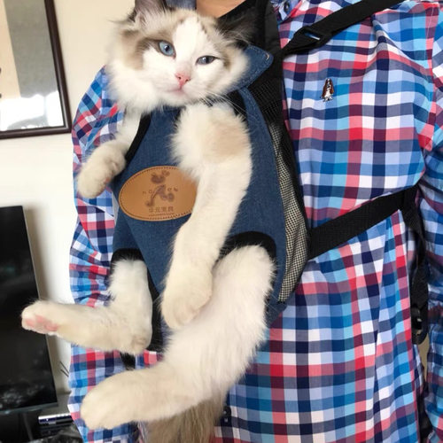 猫包外出便携背带胸前包狗狗双肩泰迪外带背包宠物猫咪出行背猫袋