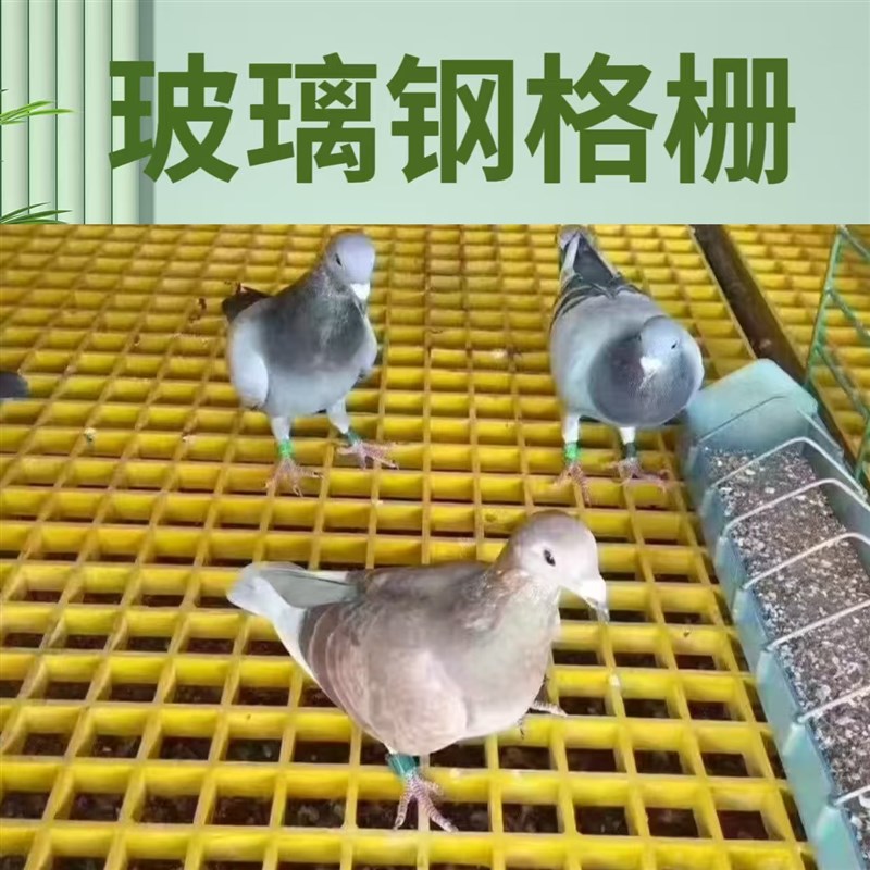 玻璃钢格栅鸽舍地网小孔网格板漏粪养殖格栅鸽舍网格板